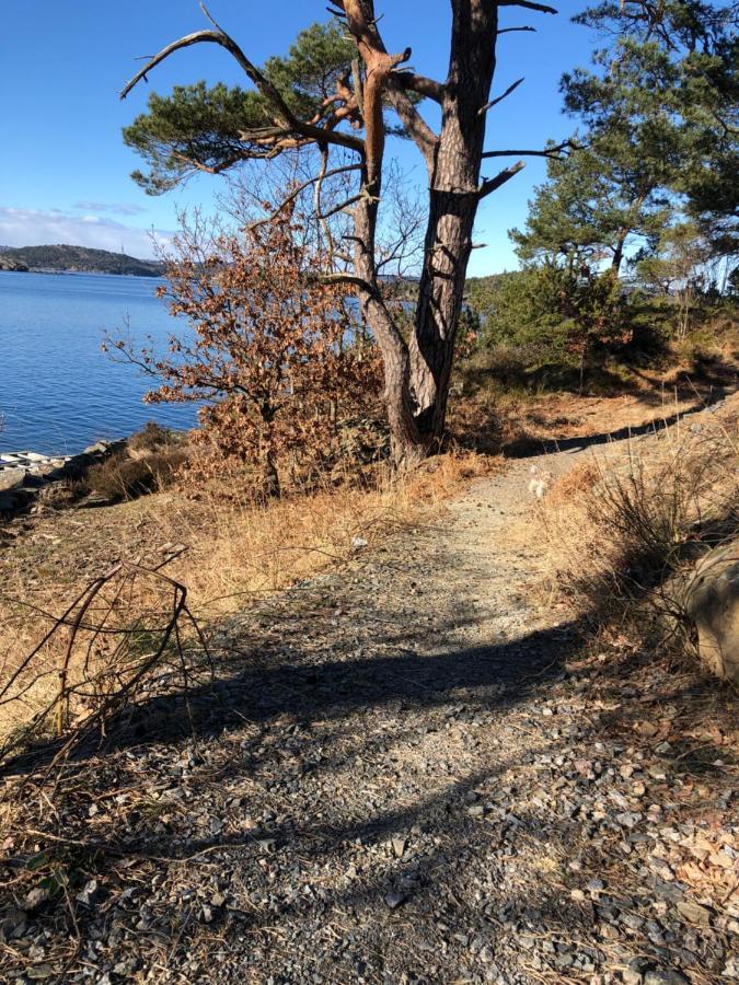 Sjonaer Idyll Kristiansand