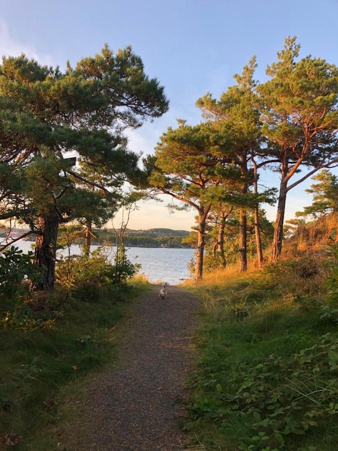 Sjonaer Idyll Kristiansand